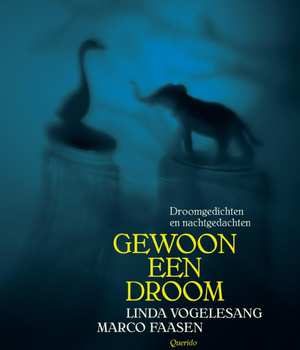 gewoon-een-droom-linda-vogelesang-boek-cover-9789045120799