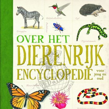 dierenrijk